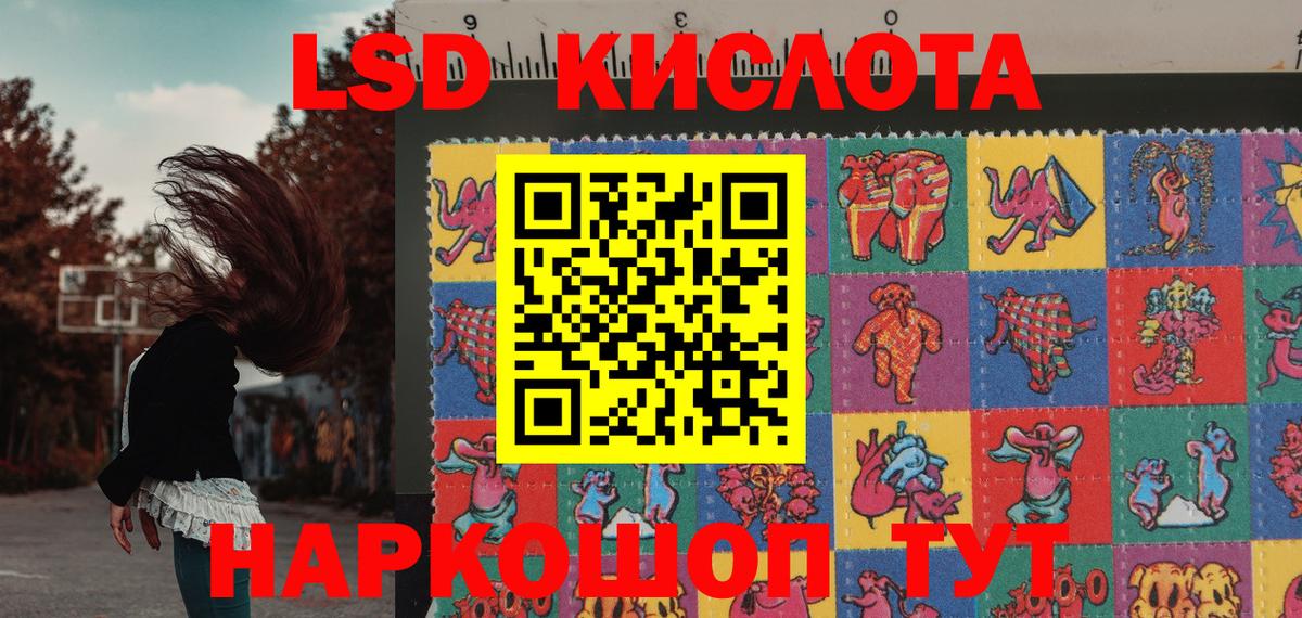 Наркотические марки 1500мкг  Наркотические марки 1500мкг  Вход с VPN  Аргун 