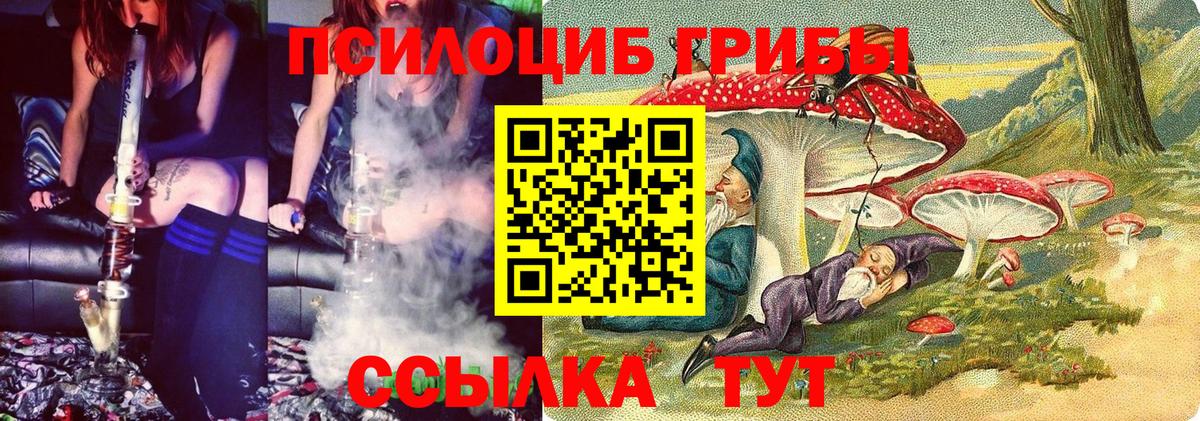 Галлюциногенные грибы мицелий  Вход с VPN  Аргун 